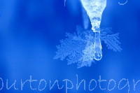 Icicle